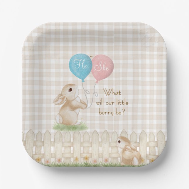 Was wird unser kleiner Hase sein?  Geschlechterent Pappteller (Vorderseite)