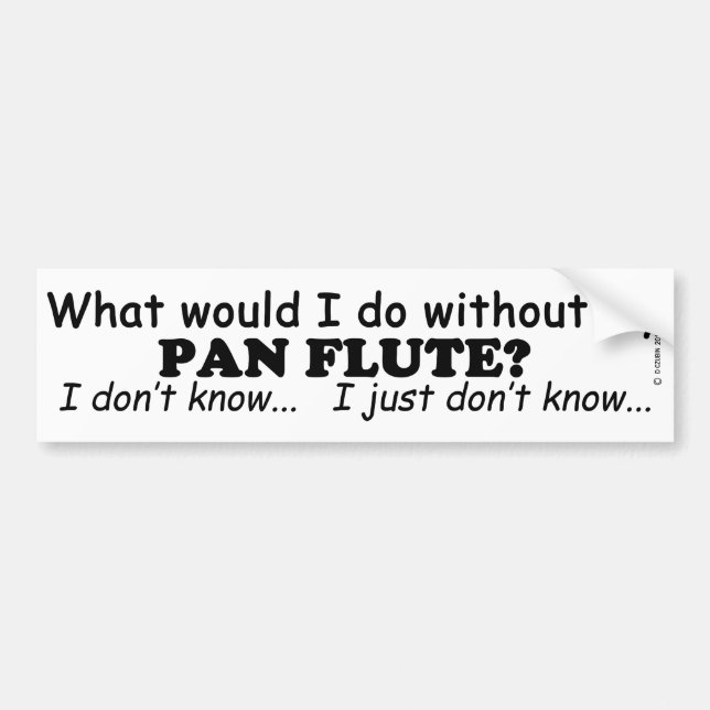 Was würde ich tun, Pan Flute? Autoaufkleber (Vorne)