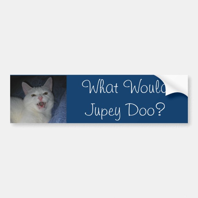 Was wurde Jupey Doo? #2 Autoaufkleber (Vorne)