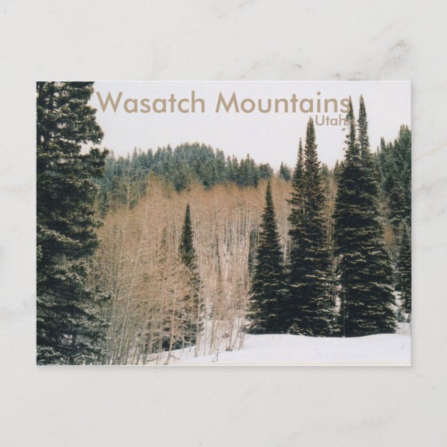 Wasatch Mountains Winter Szene Postcard Postkarte (Vorderseite)