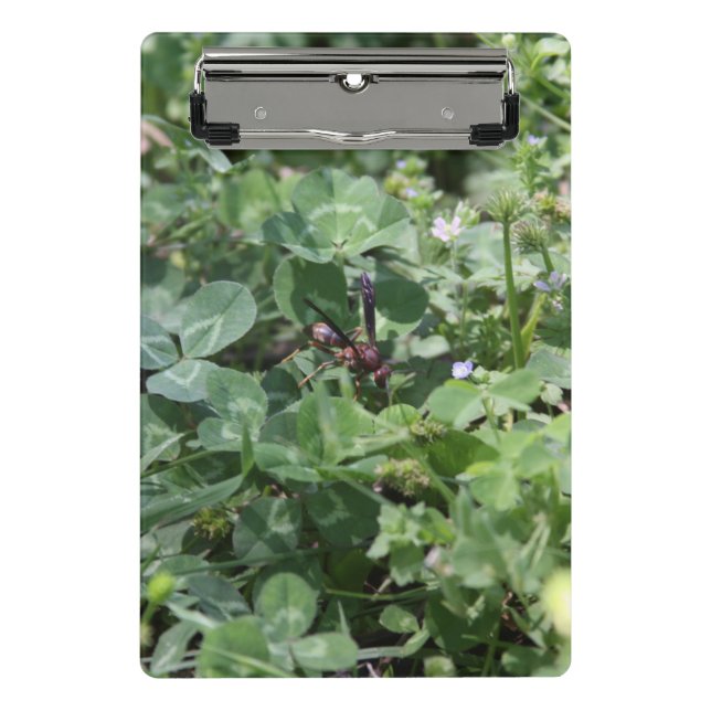 Wasch-Clipboards Mini Klemmbrett (Vorderseite)