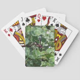 Wasch-Karten Spielkarten