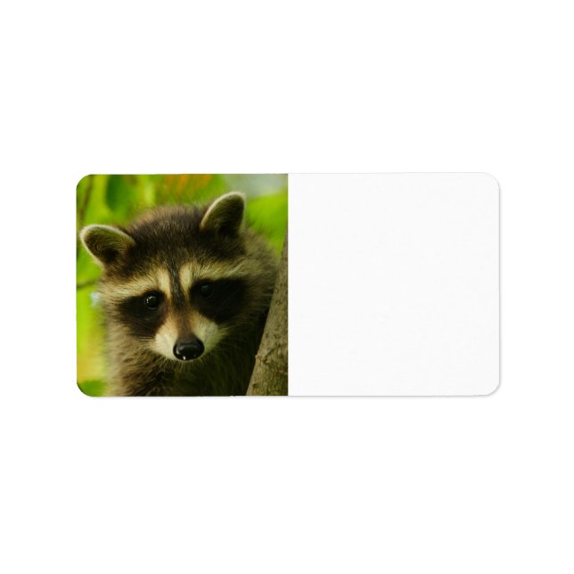 Waschbär Adressaufkleber (Vorne)