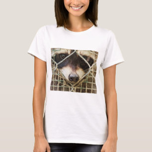 Waschbär auf T-Shirts