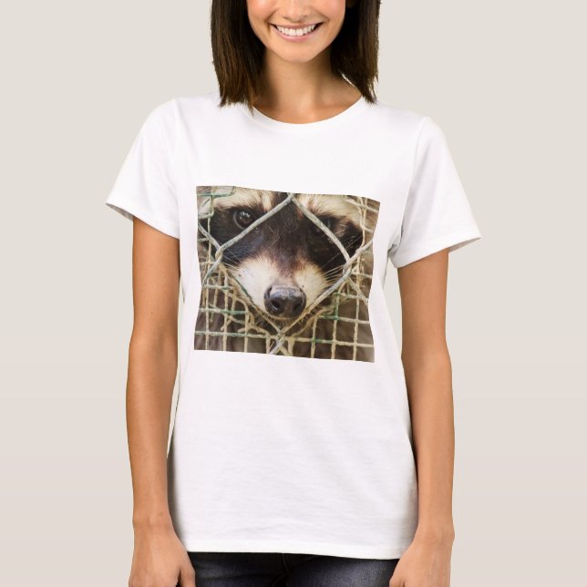 Waschbär auf T-Shirts (Vorderseite)