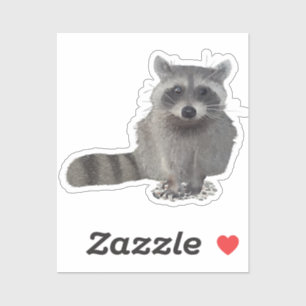 Waschbär  aufkleber