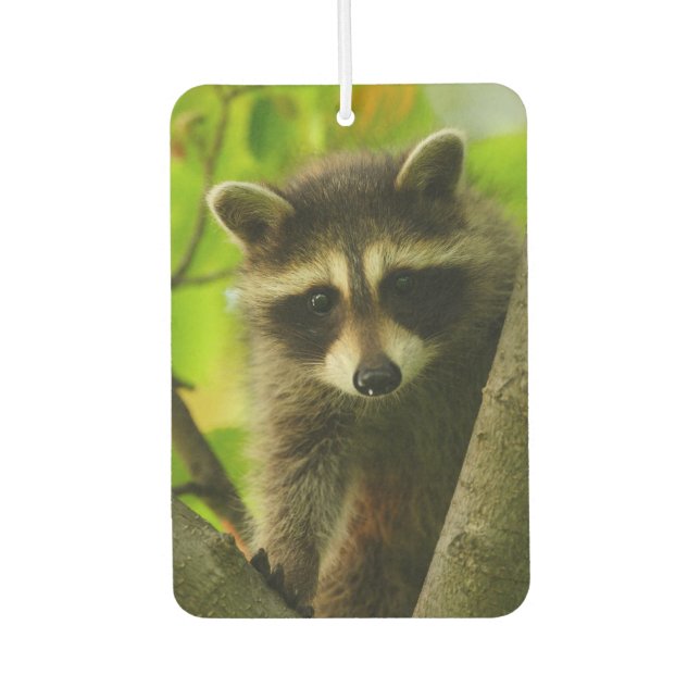 Waschbär Autolufterfrischer (Vorderseite)