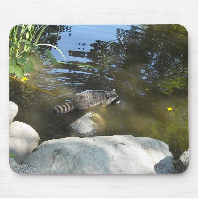 Waschbär beim Baden Mousepad (Vorne)