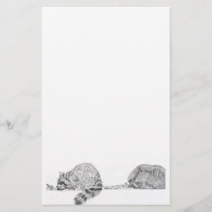 Waschbär-Briefpapier Briefpapier