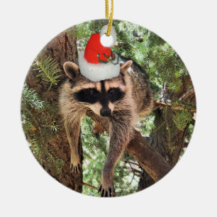 Waschbär, der in einem Baum trägt einen Sankt-Hu Keramik Ornament