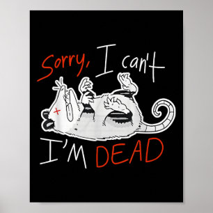 Waschbär Entschuldigung, ich kann nicht, ich bin t Poster