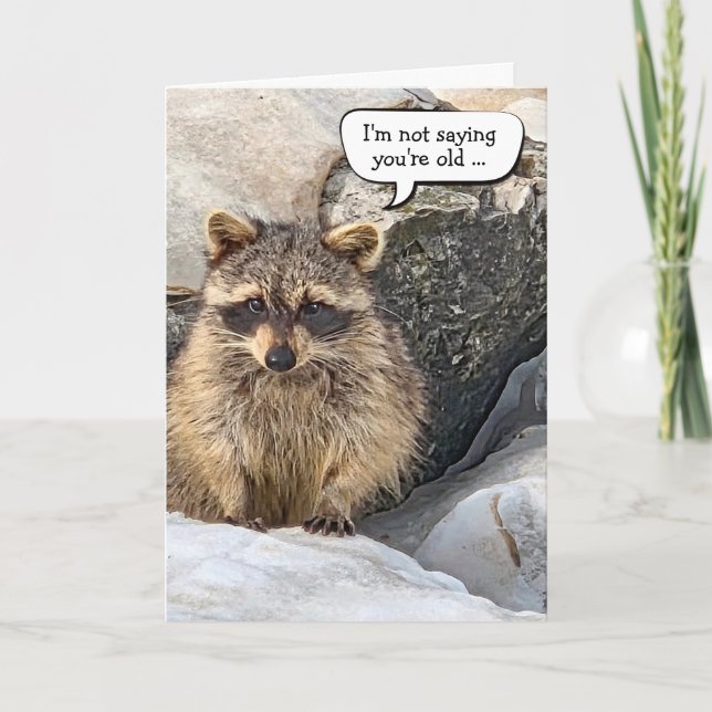 Waschbär-Geburtstagshumor Karte (Vorderseite)