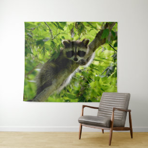 Waschbär im grünen Baum Süßer grauer Waschbär mit Wandteppich