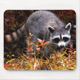 WASCHBÄR IM HERBST MOUSEPAD
