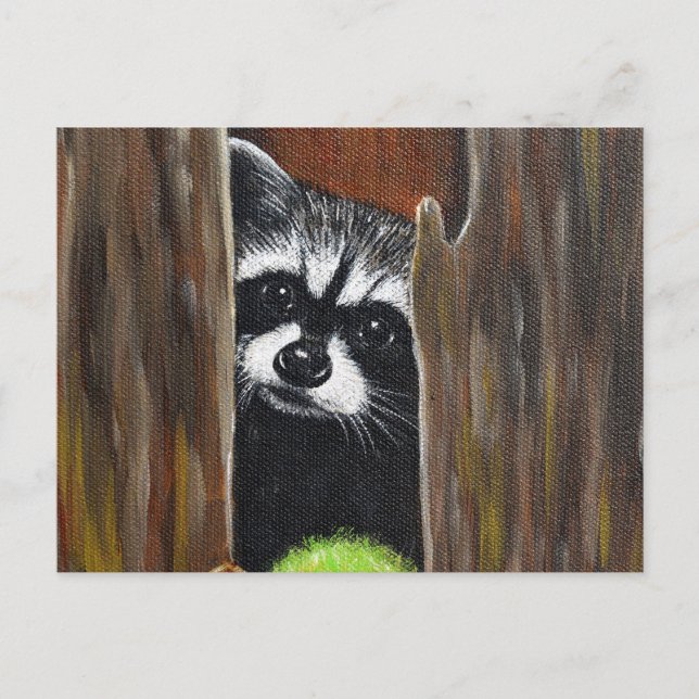 Waschbär-in-einem-Baum-Malerei Postkarte (Vorderseite)
