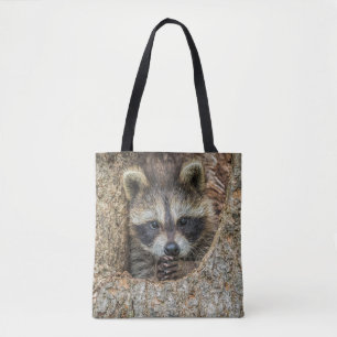 Waschbär in einer Baumhöhle