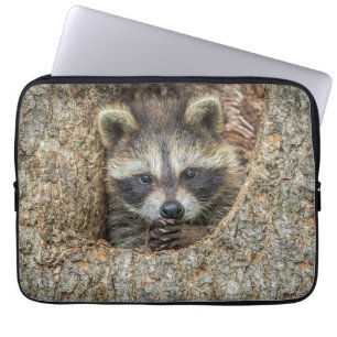 Waschbär in einer Baumhöhle geschmiegt Laptopschutzhülle