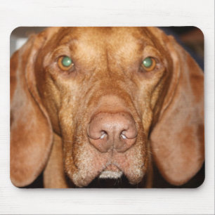 Waschbär-Jagdhund-Mausunterlage Mousepad