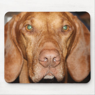 Waschbär-Jagdhund-Mausunterlage Mousepad