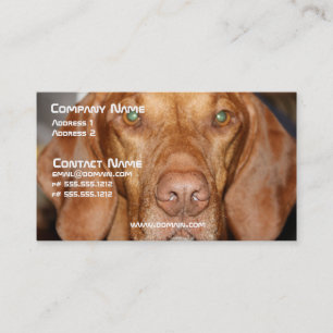 Waschbär-Jagdhund-Visitenkarte Visitenkarte