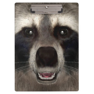 Waschbär Klemmbrett