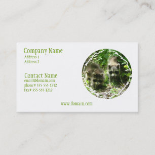 Waschbär-Lebensraum-Visitenkarte Visitenkarte