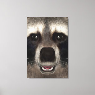 Waschbär Leinwanddruck