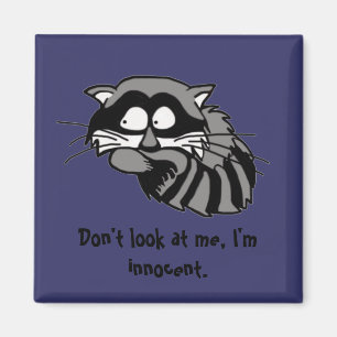 Waschbär Magnet