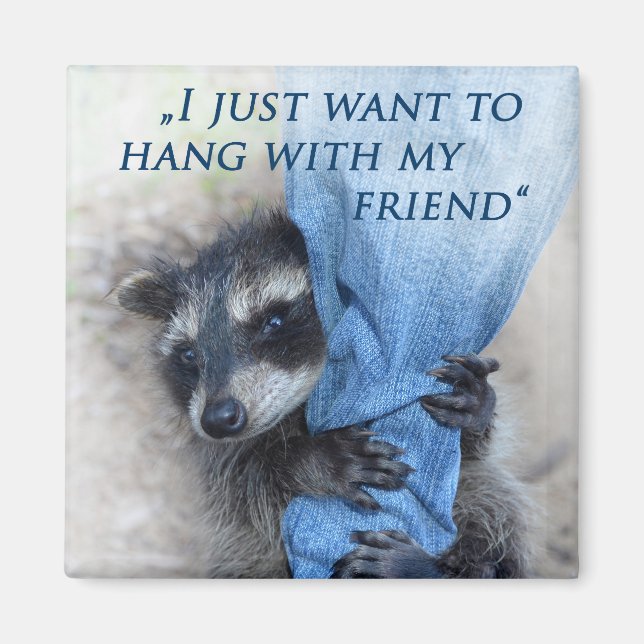 Waschbär - magnet (Vorne)