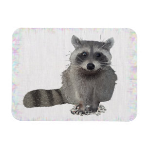 Waschbär Magnet
