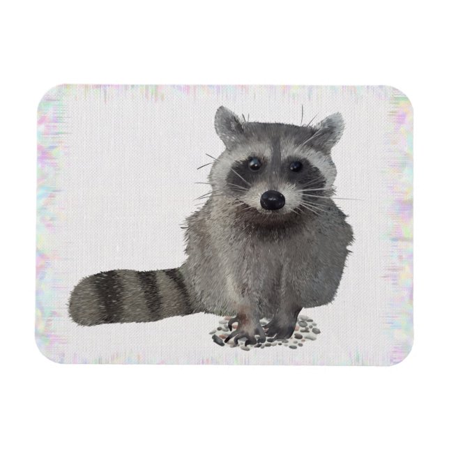 Waschbär Magnet (Horizontal)