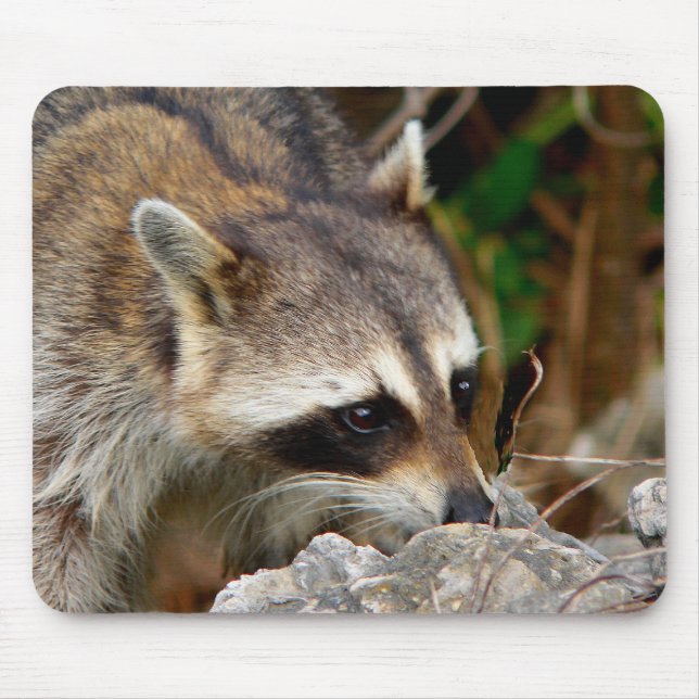 Waschbär-Mauspad Mousepad (Vorne)
