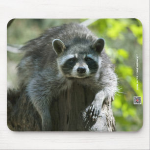Waschbär-Mauspad Mousepad