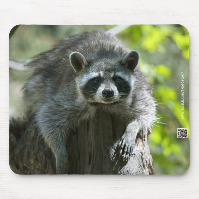 Waschbär-Mauspad Mousepad (Vorne)