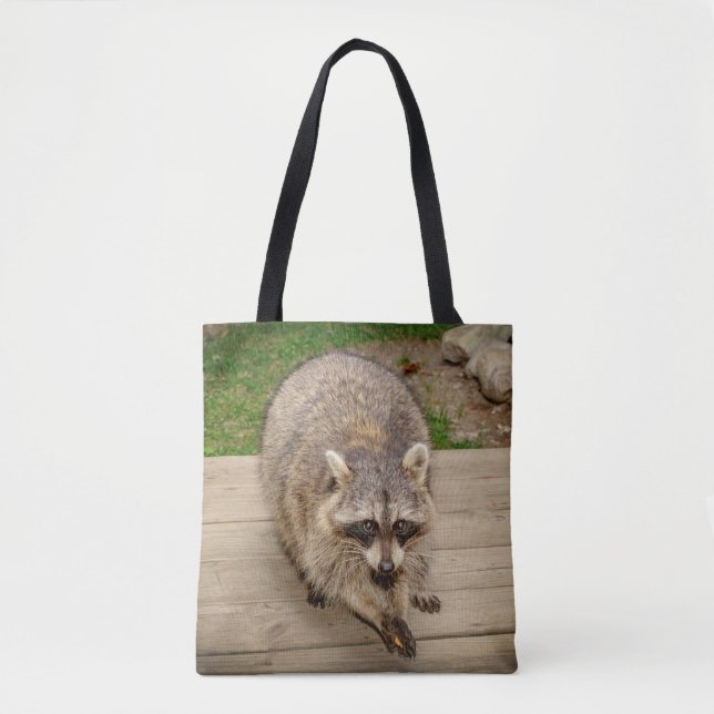 Waschbär mit einem Chip (Vorderseite)
