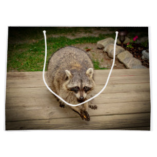 Waschbär mit einem Chip Große Geschenktüte