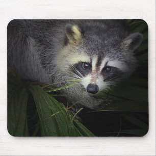 Waschbär Mousepad