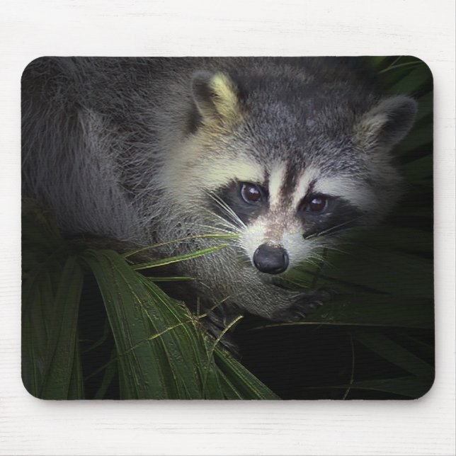 Waschbär Mousepad (Vorne)