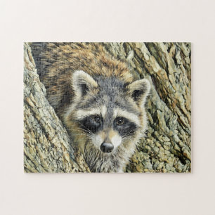 Waschbär Nahaufnahme - Puzzle