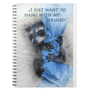 Waschbär - notizblock