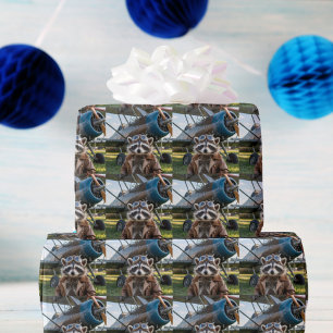 Waschbär-Pilot-Flugzeug Lustiges Foto Geburtstag Geschenkpapier