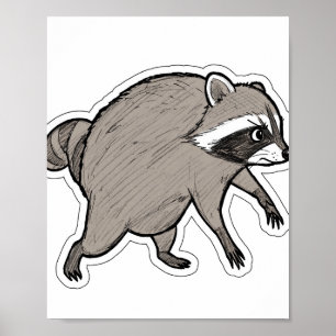 Waschbär-Porträt Poster