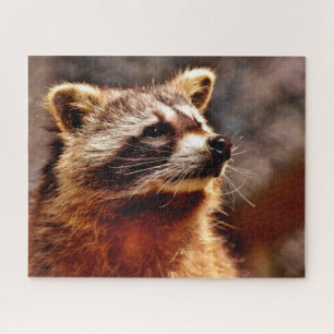 Waschbär-Porträt, Puzzle