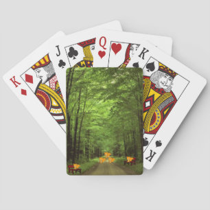 Waschbär Spielkarten-Deck Spielkarten