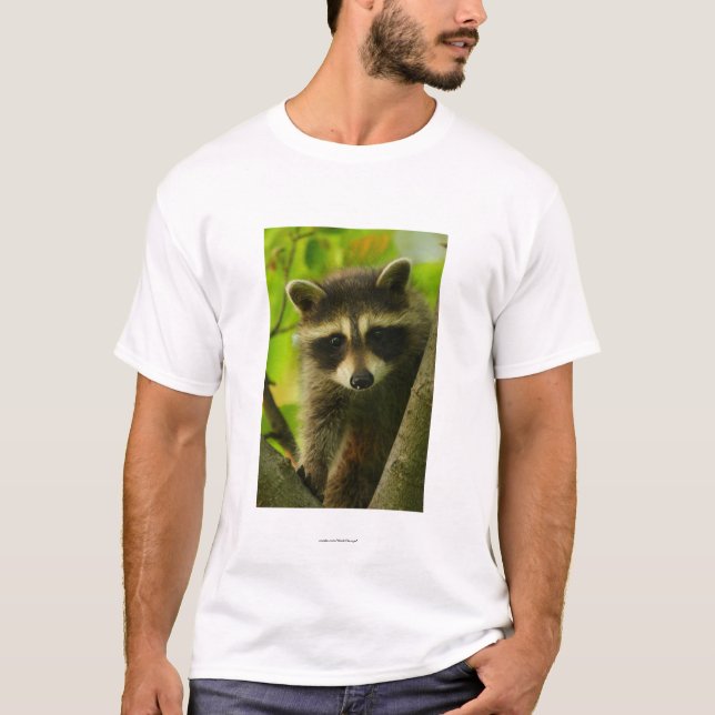 Waschbär T-Shirt (Vorderseite)