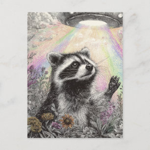 Waschbär und ein UFO Postkarte