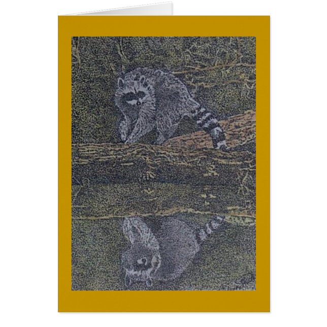 Waschbär und Reflexion (Vorne)