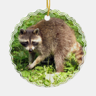 Waschbär-Verzierung Keramikornament
