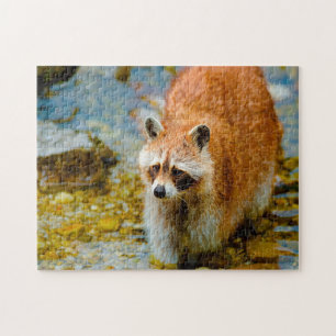 Waschbären. Puzzle