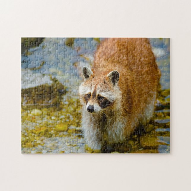 Waschbären. Puzzle (Horizontal)